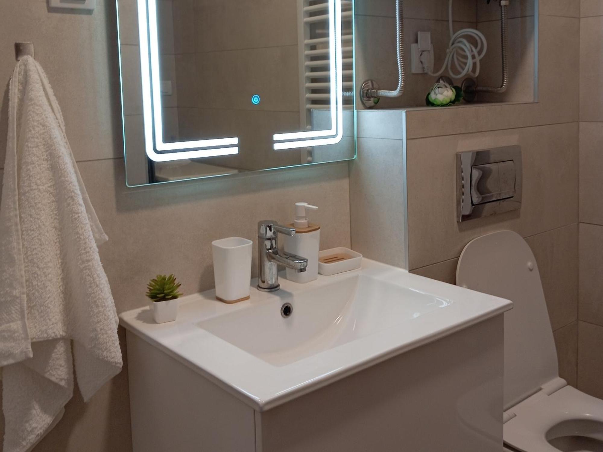 Tera Apartment Zemun Beograd Rom bilde